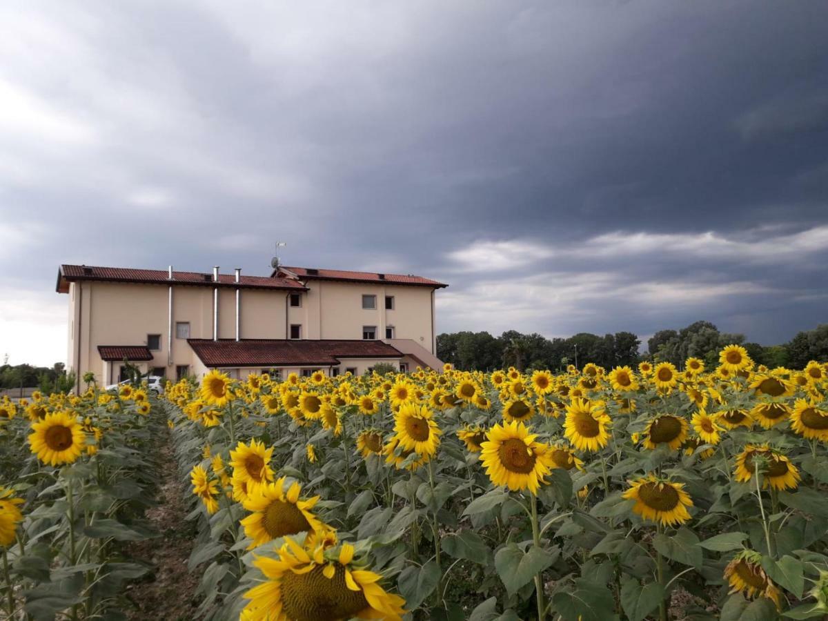 Al Cavaliere Villa Pordenone Rum bild