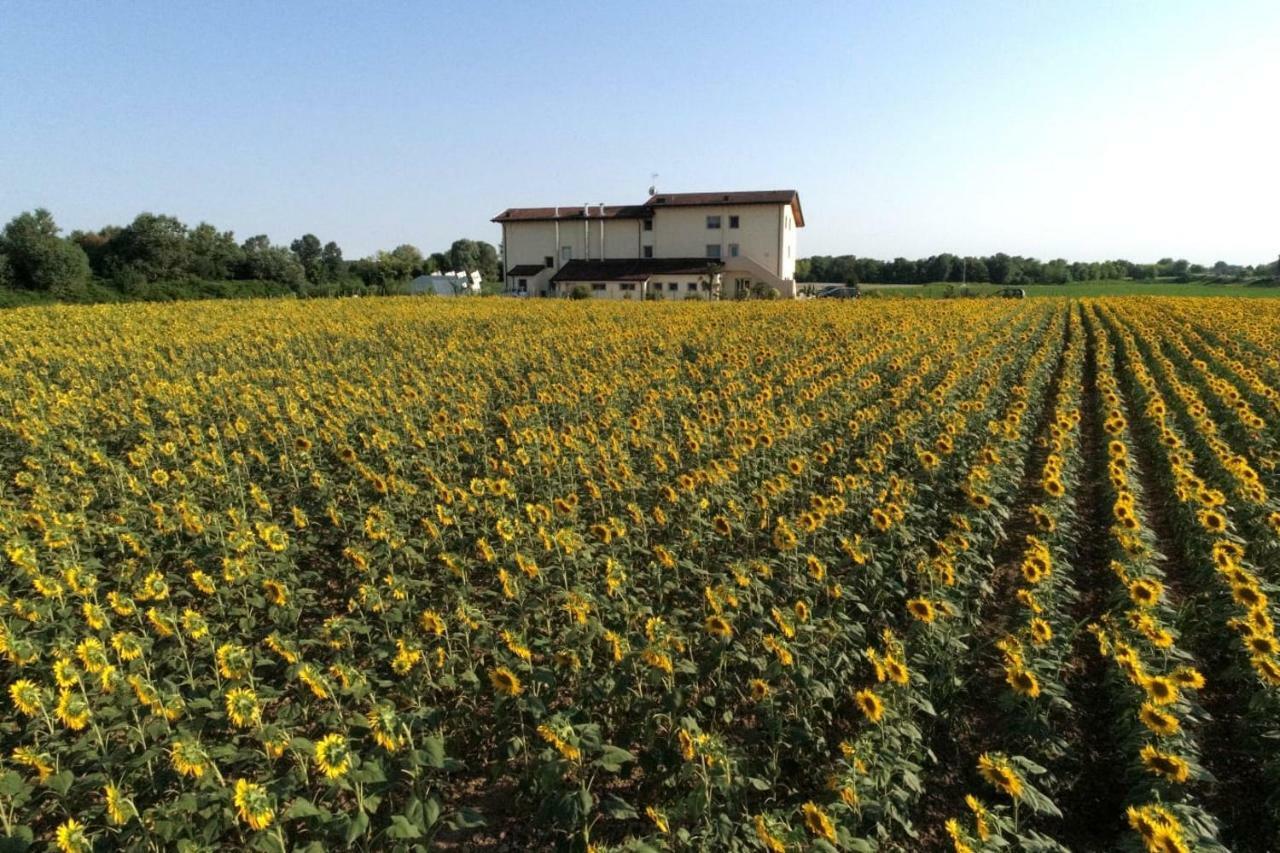Al Cavaliere Villa Pordenone Exteriör bild